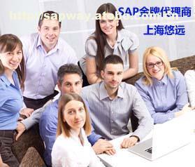 【用SAP ERP系统首选上海悠远SAP咨询公司 提供SAP金牌服务】SAP ERP,价格,厂家,图片,供应商,系统管理软件,上海悠远信息技术有限公司 - 供应信息